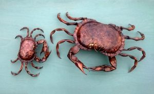 crab sculptures