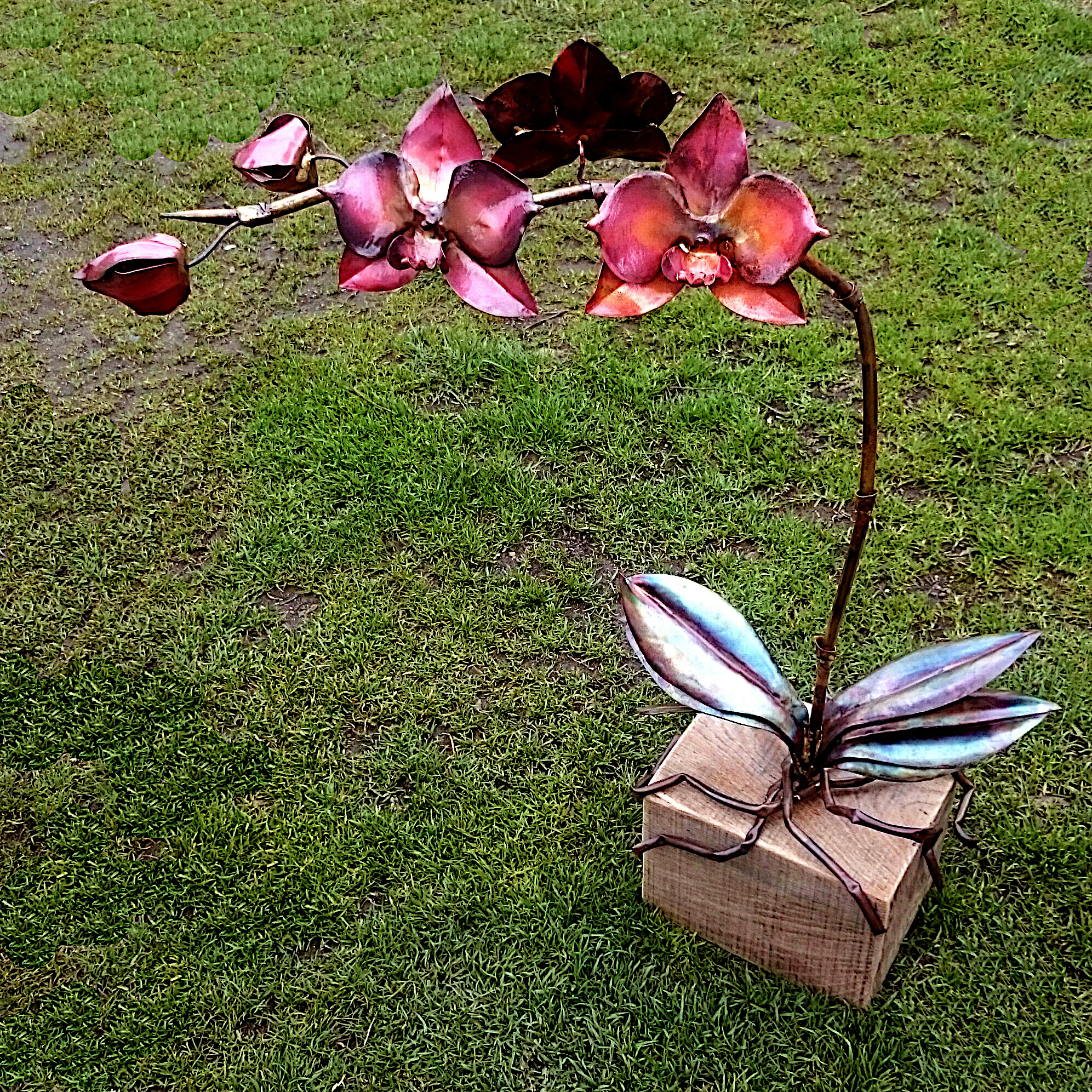 phalaenopsis orchid sculpture