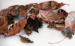 hedgehog in leaves sculpture