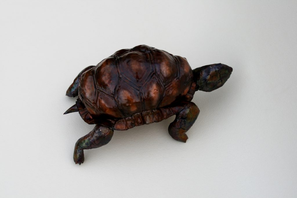 tortoise sculpture