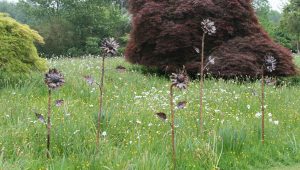 sunflower sculptures