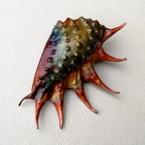 Emily Stone Copper Shell Spider Conch Sculpture