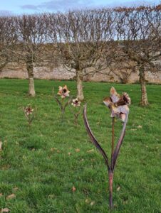 Emily Stone copper Daffodils sculpture Herstmonceux 2