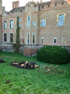 Emily Stone copper Fish on sticks sculpture Herstmonceux moat