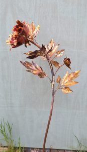 Emily Stone copper flower Tree Peony sculpture