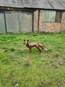 Emily Stone copper Fox sculpture