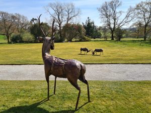 Emily Stone copper Stags at Delamore 2 sculpture