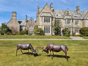 Emily Stone copper Stags at Delamore sculpture