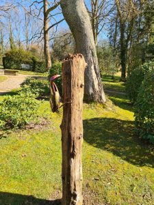 Emily Stone copper Woodpecker on tree sculpture