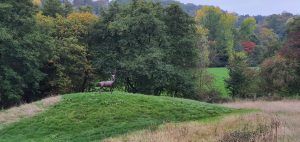 Emily Stone Copper Stag Sculpture new home 3